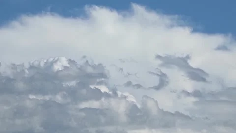 White Bird Flying Past Towering Cumulus Clouds Vídeo Stock 342144746