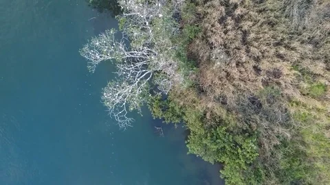 White birds flying over the river 動画素材 78354322