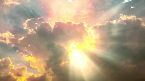 WHITE BIRDS FLYING IN A SUNSET CLOUDS SKY Stock Footage 233925892
