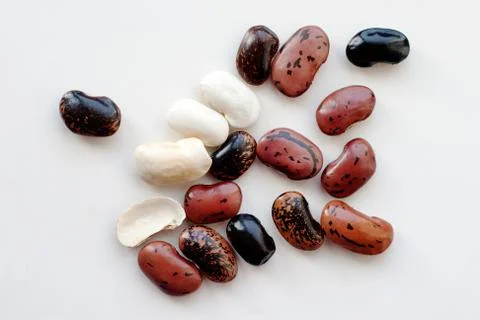 White, black and brown beans Stock Photos