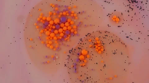 White, Black, and Multicolored Bubbles in Dynamic Painted Texture Video stock 282282790