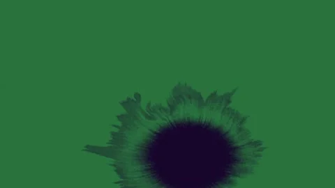 With white black flower on figure Video stock 335979008