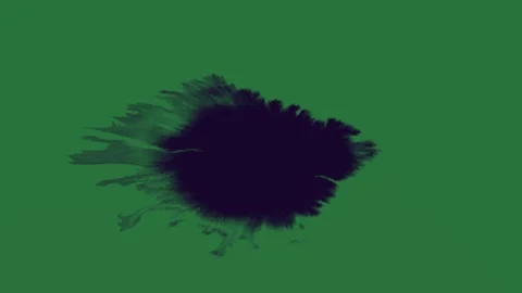 With white black flower on screen explosion figure Video stock 335979010