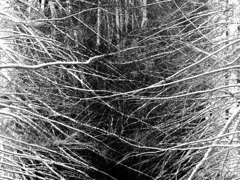 White black grey texture background, cracks on the wall, floor Stock Photos