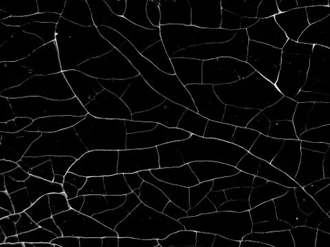 White black grey texture background, cracks on the wall, floor Stock-Fotos