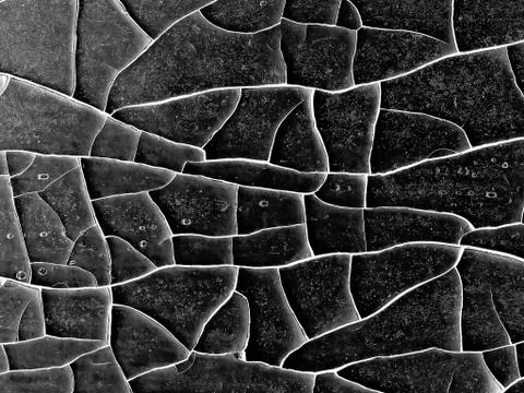 White black grey texture background, cracks on the wall, floor Stock Photos