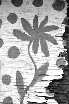 White black grey texture background, cracks on the wall, flower Stock-Fotos