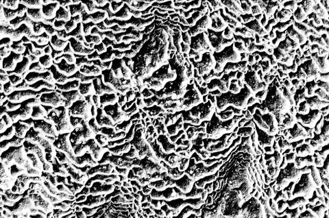 White black grey texture background, cracks on the wall, floor Stock Photos
