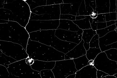 White black grey texture background, cracks on the wall, floor Stock Photos