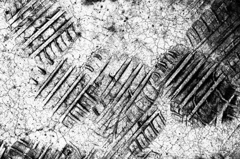 White black grey texture background, cracks on the wall, floor Stock Photos