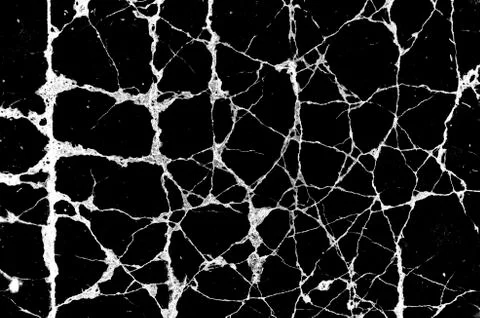 White black grey texture background, cracks on the wall, floor Stock Photos