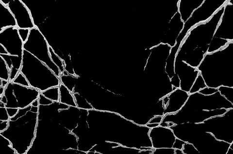 White black grey texture background, cracks on the wall, floor Stock Photos