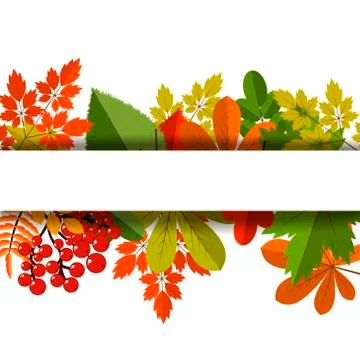 White blank on autumn background with maple leaves Stock Illustration
