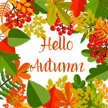 White blank on autumn background with maple leaves Stock Illustration