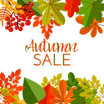 White blank on autumn background with maple leaves Stock Illustration