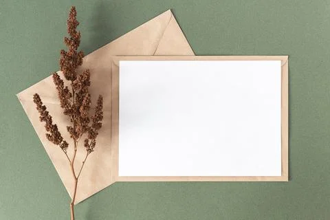White blank card, craft envelope and dry flowers plant on green background. T Stock Photos