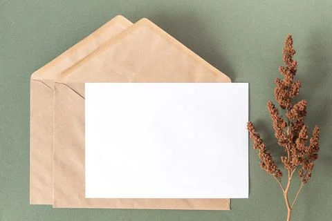 White blank card, craft envelope and dry flowers plant on green background. T Stock Photos