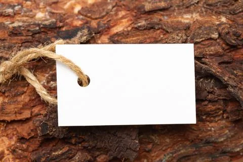 A white blank label with a string on the bark of a tree trunk in a close up.. Foto stock