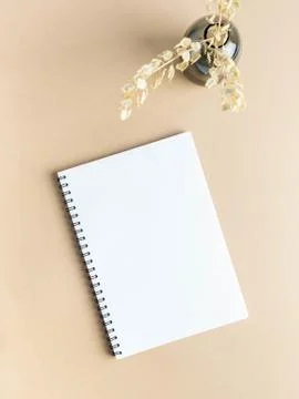 White blank notepad sheet and glass vase with dry plants Stock Photos