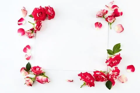 White blank paper sheet with red roses frame Stock Photos
