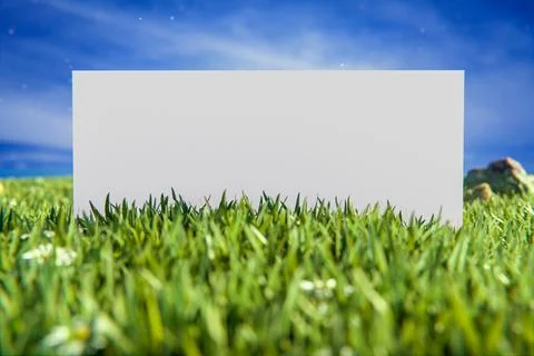White blank rectangular paper in green grass. summer mockup for advertising,  Stock Illustration