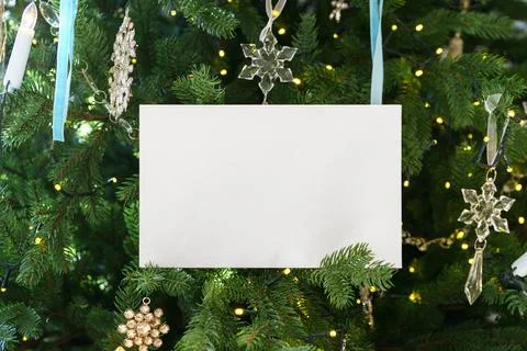 White blank rectangular paper on green Christmas tree branch background. Mo.. Stockfoto's