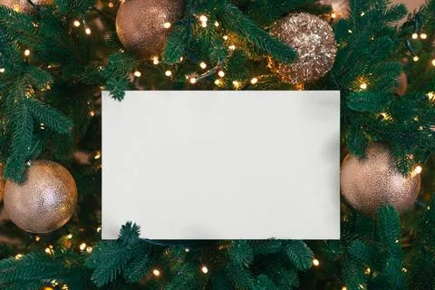 White blank rectangular paper on green Christmas tree branch background. Mo.. Stockfoto's