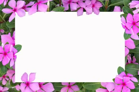 White blank space for text with flowers as backdrop. Stock Illustration