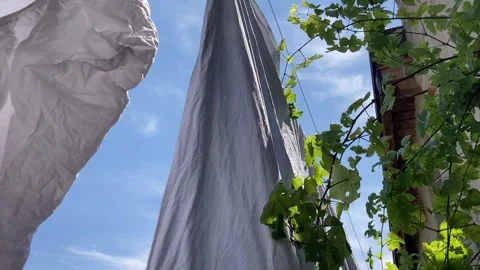 White blankets drying outdoor, vine plants and houses Stock Footage 329671934