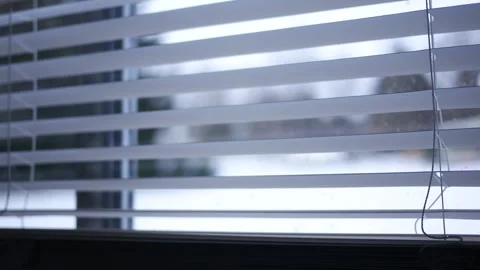 White Blinds in front of Snowy Side Yard Stock Footage 329804709