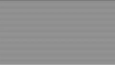 White blinds transition animation with horizontal and vertical line motion. Video stock 334965261