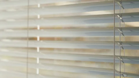 White blinds on the window, outside the window pricking branches of a tree Stock Footage 129331289