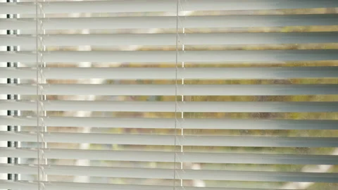 White blinds on the window, outside the window pricking branches of a tree Stock Footage 141924394