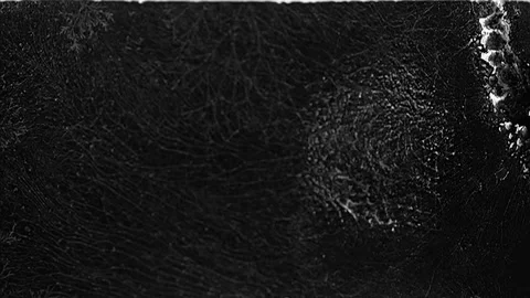 White blobs of water damage on black film leader. Stock Footage 260861731