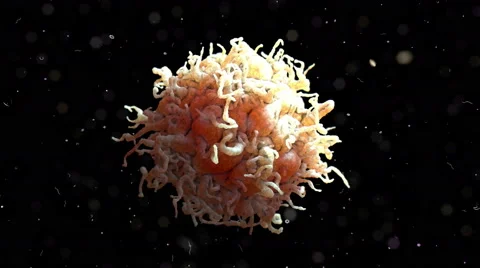 White Blood Cell 001 HD, 4K Stock Footage Stock Footage