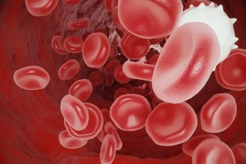 White blood cell between red blood cells, flow insice artery or vein, 3d Stock Illustration