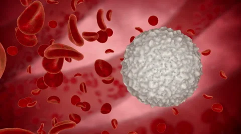 White blood cell, eritrocite inside organism view. Medical concept. HUD monitor Stock Footage 59509246