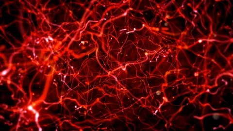 White Blood Cells And Blood Veins Stock Footage