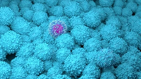 White blood cells attacking prostate cancer cells, animation Stock Footage 258432510
