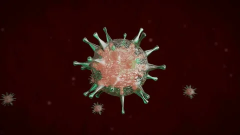 White blood cells attacks a bacterial virus cell Stock Footage 93543551