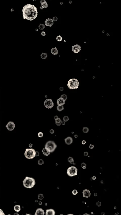 White blood cells floating in the human body Stock Footage 342279545