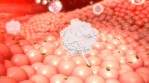 White blood cells Stock Footage