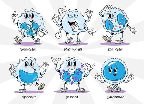 White blood cells type retro 1930s style rubber hose cartoon characters set.. Illustrazione stock