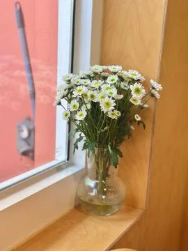 White Blooms in Soft Light Stock Photos