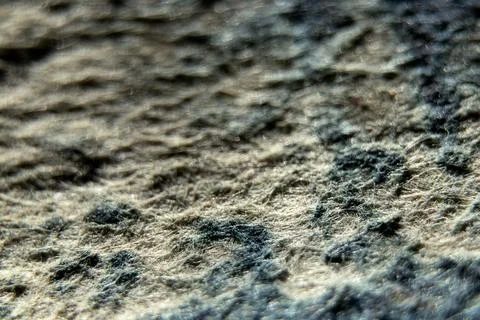 White-blue fleecy spotted background macro photo, background of fleecy old sy Stock Photos