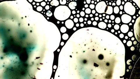 White blue Paints Video stock 72375705