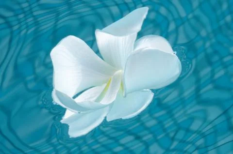 White on blue Stock Photos