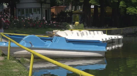 White, blue water bicycles anchored on lake, people walking in park, relaxing Stock Footage