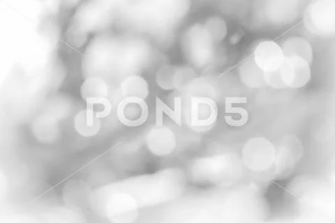 White Blur Abstract Background Banner .Wide Screen Bokeh White Christmas shiny Stock Photos
