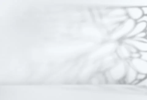 White blurred background with shadow on a wall. Abstract scene in Color of .. Stock Photos